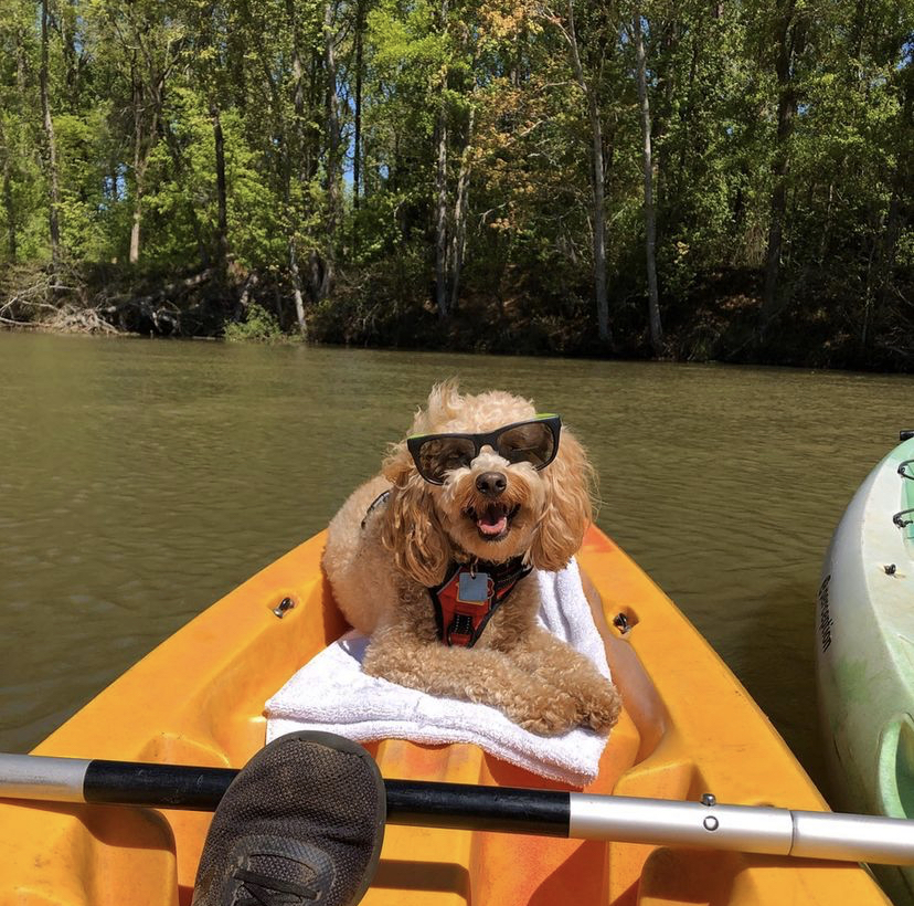 riverboat tours augusta ga